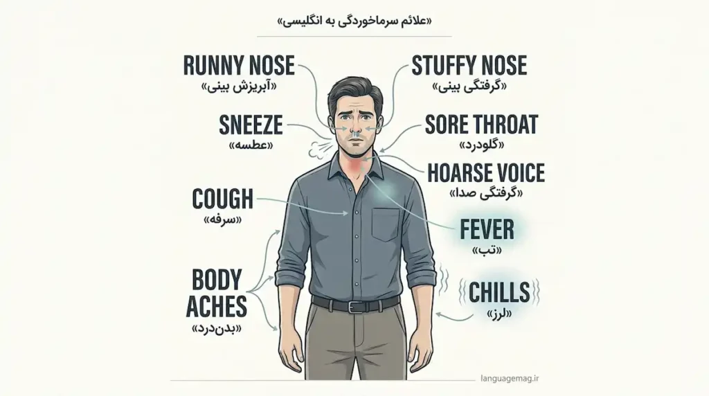 علائم سرماخوردگی به انگلیسی در یک عکس
